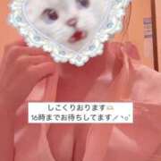 ヒメ日記 2025/04/08 12:23 投稿 みお 横浜しこたまクリニック