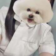 みお 明日4/22（水）出勤します🍒 横浜しこたまクリニック