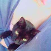 ヒメ日記 2025/01/03 19:03 投稿 かすみ 川崎・東横人妻城