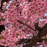 かすみ [お題]from:ころんぼ1204さん 川崎・東横人妻城