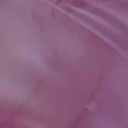 ヒメ日記 2025/01/06 12:05 投稿 NHきゆう サマンサ(和歌山)