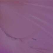 ヒメ日記 2025/01/07 17:02 投稿 NHきゆう サマンサ(和歌山)