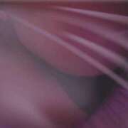 ヒメ日記 2025/04/05 17:00 投稿 NHきゆう サマンサ(和歌山)