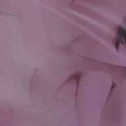 ヒメ日記 2025/04/07 06:00 投稿 NHきゆう サマンサ(和歌山)