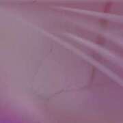 ヒメ日記 2025/04/10 17:00 投稿 NHきゆう サマンサ(和歌山)