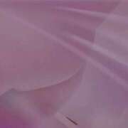 ヒメ日記 2025/07/11 17:00 投稿 NHきゆう サマンサ(和歌山)