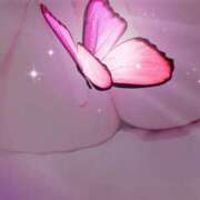 ヒメ日記 2025/07/16 20:01 投稿 NHきゆう サマンサ(和歌山)