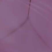 ヒメ日記 2025/11/02 22:00 投稿 NHきゆう サマンサ(和歌山)