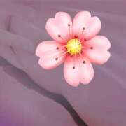 ヒメ日記 2025/11/04 17:00 投稿 NHきゆう サマンサ(和歌山)