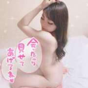 ヒメ日記 2026/03/19 12:30 投稿 るな 恋するバニー