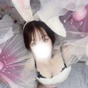 ヒメ日記 2025/05/08 14:01 投稿 みのり 恋するバニー