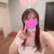 ヒメ日記 2025/07/05 09:46 投稿 すず 恋するバニー