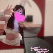 ヒメ日記 2025/07/15 11:01 投稿 すず 恋するバニー