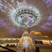 ヒメ日記 2025/08/22 07:08 投稿 すず 恋するバニー