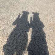 ヒメ日記 2025/09/16 12:21 投稿 すず 恋するバニー