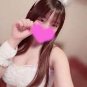 ヒメ日記 2025/09/29 17:46 投稿 すず 恋するバニー