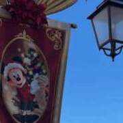 ヒメ日記 2025/11/15 17:16 投稿 すず 恋するバニー