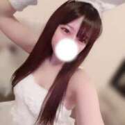 ヒメ日記 2025/11/29 13:18 投稿 すず 恋するバニー