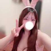 ヒメ日記 2025/12/03 06:15 投稿 すず 恋するバニー