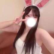 ヒメ日記 2026/01/17 08:15 投稿 すず 恋するバニー