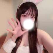 ヒメ日記 2026/01/30 14:49 投稿 すず 恋するバニー