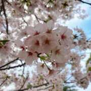 りあ 残り1枠です🧸𖤐⡱ 甲府人妻城