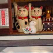 ヒメ日記 2025/12/20 11:09 投稿 しのぶ One More奥様　立川店