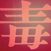 ヒメ日記 2025/12/12 23:09 投稿 しのぶ One More奥様　八王子店