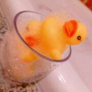 ヒメ日記 2026/01/11 07:09 投稿 しのぶ One More奥様　八王子店