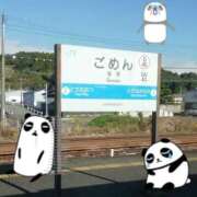 ヒメ日記 2026/04/07 12:18 投稿 しのぶ One More奥様　八王子店