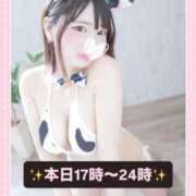 ヒメ日記 2026/02/04 16:17 投稿 ひめか めっちゃスイスク梅田店