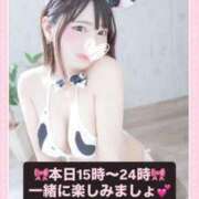 ヒメ日記 2026/02/05 12:15 投稿 ひめか めっちゃスイスク梅田店