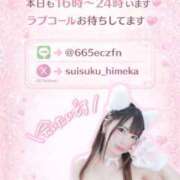 ヒメ日記 2026/02/20 12:04 投稿 ひめか めっちゃスイスク梅田店