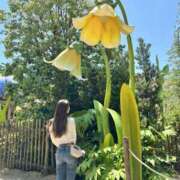 ヒメ日記 2025/07/13 20:56 投稿 桜花はな ウルトラブレイズ