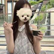 ヒメ日記 2025/09/17 02:16 投稿 桜花はな ウルトラブレイズ