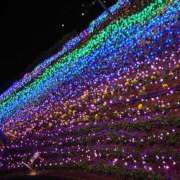 ヒメ日記 2024/12/31 19:43 投稿 ななみ いわき小名浜ちゃんこ