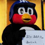 ヒメ日記 2025/02/20 12:43 投稿 ななみ いわき小名浜ちゃんこ
