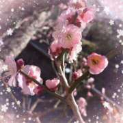 ヒメ日記 2025/03/18 13:03 投稿 ななみ いわき小名浜ちゃんこ