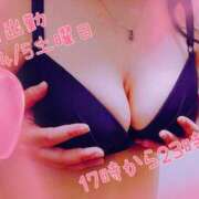 ヒメ日記 2025/04/03 12:43 投稿 ななみ いわき小名浜ちゃんこ