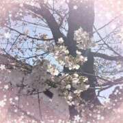 ヒメ日記 2025/04/07 20:53 投稿 ななみ いわき小名浜ちゃんこ