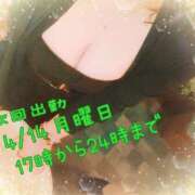 ヒメ日記 2025/04/12 19:53 投稿 ななみ いわき小名浜ちゃんこ