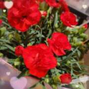 ヒメ日記 2025/05/11 20:13 投稿 ななみ いわき小名浜ちゃんこ