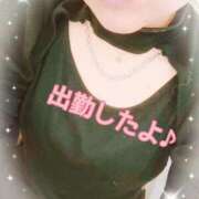 ヒメ日記 2025/05/16 13:03 投稿 ななみ いわき小名浜ちゃんこ