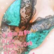 ヒメ日記 2025/09/22 22:06 投稿 ななみ いわき小名浜ちゃんこ