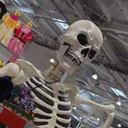 ヒメ日記 2025/10/04 11:53 投稿 ななみ いわき小名浜ちゃんこ