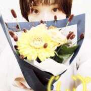 ヒメ日記 2025/10/03 13:56 投稿 若井りみ 松戸人妻花壇