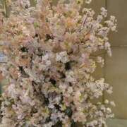 ヒメ日記 2026/04/07 10:56 投稿 若井りみ 松戸人妻花壇