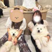 ヒメ日記 2025/06/09 20:06 投稿 心美(ここみ) モアグループ西川口人妻城