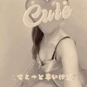 ヒメ日記 2024/12/20 17:15 投稿 れいか 性腺熟女100％（デリヘル市場）