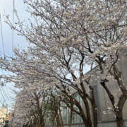 ヒメ日記 2025/03/30 23:30 投稿 れいか 性腺熟女100％（デリヘル市場）